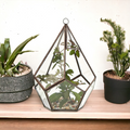 Terrario Pentágono · cristal y latón · 21 cm