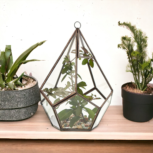 Terrario Pentágono · cristal y latón · 21 cm